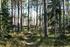 Skogsgård om 91 ha Skogsfastighet i tre skiften strax norr om Bäckebo. Virkesvolym ca 12 900 m³sk varav 10 300 utgörs av S2 skog.