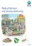 Naturhänsyn vid slutavverkning