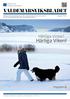 Härliga Viken! Härliga Vinter! Nummer 1/2013 21 januari-17 februari 2013