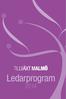 Ledarprogram DELTAGARE 2014. Ett sammandrag i ord och bild. Michael Engström Ahrens. Göran Hydbom Modern Management Network