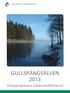 GULLSPÅNGSÄLVEN 2013