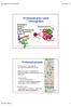 Proteinstruktur samt Hemoglobin