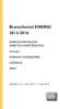 Branschavtal ENERGI 2013-2016. ENERGIFÖRETAGENS ARBETSGIVAREFÖRENING Unionen SVERIGES INGENJÖRER LEDARNA SEKO