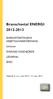 Branschavtal ENERGI 2012-2013. ENERGIFÖRETAGENS ARBETSGIVAREFÖRENING Unionen SVERIGES INGENJÖRER LEDARNA SEKO