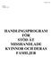 HANDLINGSPROGRAM FÖR STÖD ÅT MISSHANDLADE KVINNOR OCH DERAS FAMILJER