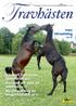 Rapport från avelsseminariet. Konsten att sälja på auktion sid 12 Ny utformning av hingststatistik sid 19. TEMA Utrustning sid 23.