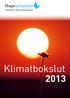 Hagainitiativet / klimatbokslut 2013. Klimatbokslut