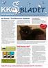 Bladet. 46 katter i Tivolikolonin räddade. Vad kostar det? ACANA KATTMAT. Hjälp KKS att ge behövande katter veterinärvård! PG 138 39 84-0.