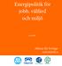 Energipolitik för jobb, välfärd och miljö