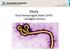 2015-07-06 www.smittskyddstockholm.se. Ebola. Viral hemorragisk feber (VHF) - utvidgad version