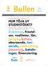 HUR TÖJA UT STUDIESTÖDET? Drömmar, frestelser, realiteter, lån, pengar, behov, planering, betalningar,