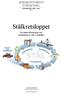 SLUTRAPPORT 2004 2012 D 852. En sluten tillverkning och användning av stål i samhället ETT MISTRAFINANSIERAT MILJÖFORSKNINGSPROGRAM