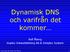 Dynamisk DNS och varifrån det