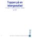 Toppen på en isbergssallad En rapport om kollektivavtalskonflikten i Göteborg april 2007