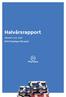 Halvårsrapport. Januari t.o.m. Juni 2015 PlayHippo AB (publ.)