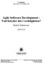 Agile Software Development - Vad betyder det i verkligheten?