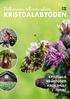 Välkommen till natursköna PMS116C R:255 G:206 B:0 C:1 M:18 Y:100 K:0 KRISTDALABYGDEN KRISTDALA BRÅBYGDEN KROKSHULT ISHULT