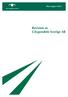 Tillsynsrapport 2005:1. Revision av Citypendeln Sverige AB