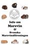 Info om Marsvin & Svenska Marsvinsföreningen