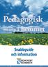 Pedagogisk. omsorg i hemmet. Snabbguide och information