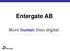 Entergate grundades i USA 1998 av Cyrus Daneshmir, och är sedan 2001 etablerat i Sverige.