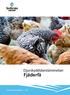 Jordbruksinformation 7 2011. Djurskyddsbestämmelser. Fjäderfä