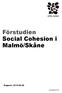 Förstudien Social Cohesion i Malmö/Skåne