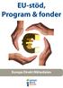 EU-stöd, Program & fonder