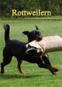 Rottweilern. SVENSKA ROTTWEILERKLUBBENS/AfR MEDLEMSTIDNING ÅRGÅNG FYRTIOETT NUMMER 4/2009