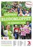 BLODOMLOPPET VÄSTERÅS 25 AUGUSTI 2014. www.blodomloppet.se