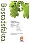 Bostadsfakta. Linköping Södra Ekkällan. Utgivningsdatum: September 2010 Byggherre: Brf Ekkällan Totalentreprenör: JM AB Arkitekt: