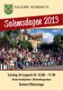 Lördag 24 augusti kl. 12.00 17.30. Årets familjefest i Skönviksparken. Salem/Rönninge