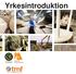 Yrkesintroduktion. Framtagen av Industriarbetsgivarna, GS facket för skogs- trä- och grafisk bransch samt TMF Trä- och Möbelföretagen.