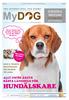 Svenska ALLT INFÖR ÅRETS BÄSTA LÅNGHELG FÖR. 5 8 jan 2012 www.mydog.se SKAFFA. Mode & trender. Tävlingarna Prylarna