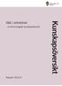 Våld i arbetslivet. Kunskapsöversikt. en kriminologisk kunskapsöversikt. Rapport 2010:4