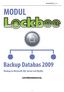 Innehållsförteckning. Användarmanual för Lockbee Backup Databas 2009