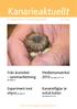 Kanarieaktuellt. Medlemsmatrikel 2013 på sidorna 11 22. Från årsmötet sammanfattning på sidan 6. Experiment mot ohyra på sidan 9