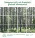 Skogens roll i ett framtida globalt klimatavtal