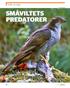 Småviltets predatorer