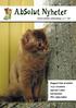 AbSolut Kattklubbs medlemstidning nr 3 2007. Rapport från årsmötet Nya i styrelsen Special i Luleå Kul kåserier PRA-sjuka katter