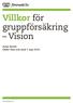 Villkor för gruppförsäkring Vision