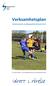 Verksamhetsplan. Södermanlands Handikappidrottsförbund 2014. Foto; Leif Thorstenson 2013 arrangerade BK Sport SM och Nationella spel i fotboll