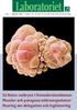 Så fäster embryot i livmoderslemhinnan Musslor och patogena mikroorganismer Hearing om delegation och legitimering
