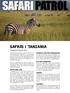 Safari i tanzania. Gruppresa 23 januari 2016