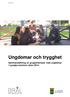 2014-06-10. Ungdomar och trygghet