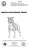 AMERICAN STAFFORDSHIRE TERRIER