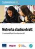 Motverka studieavbrott. En sammanfattande kunskapsöversikt