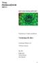 REVISIONSRAPPORT. Vårdkedjan för äldre. Uppföljning av tidigare granskning. Landstinget Halland och. Varbergs kommun. Maj 2003