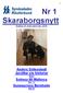 Nr 1 Skaraborgsnytt. Årgång 16 mars april maj 2015