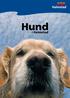 Sep 2008. Hund. i Halmstad